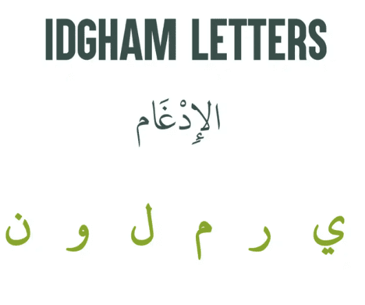 what is idgham in tajweed 